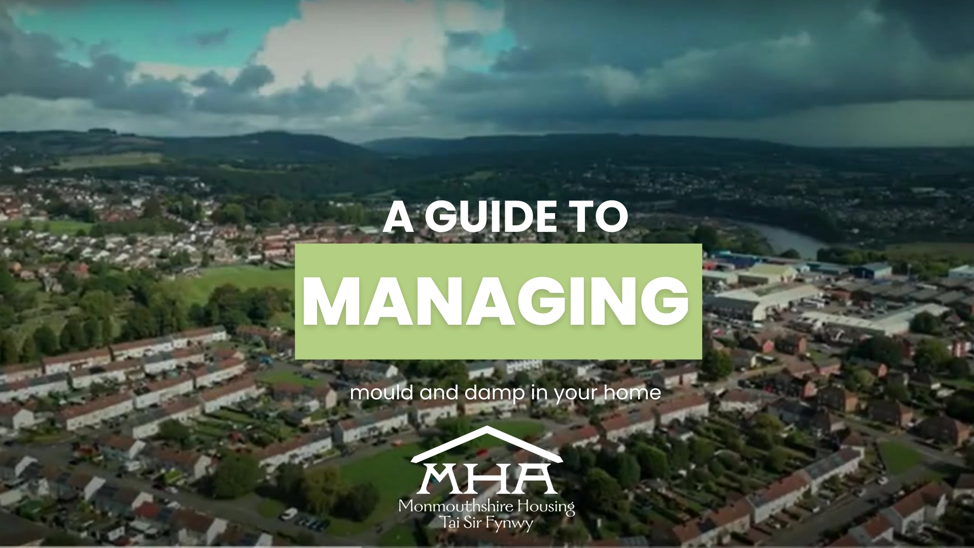 How to manage damp and mould thumbnail