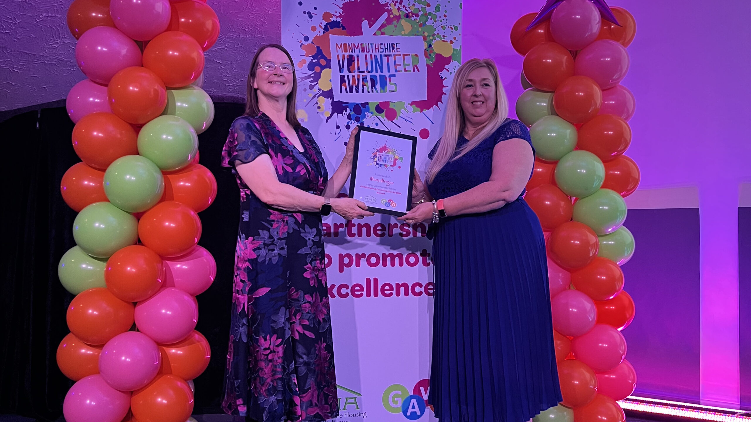 carousel image Outstanding Contribution to Awen Award - Highly Commended