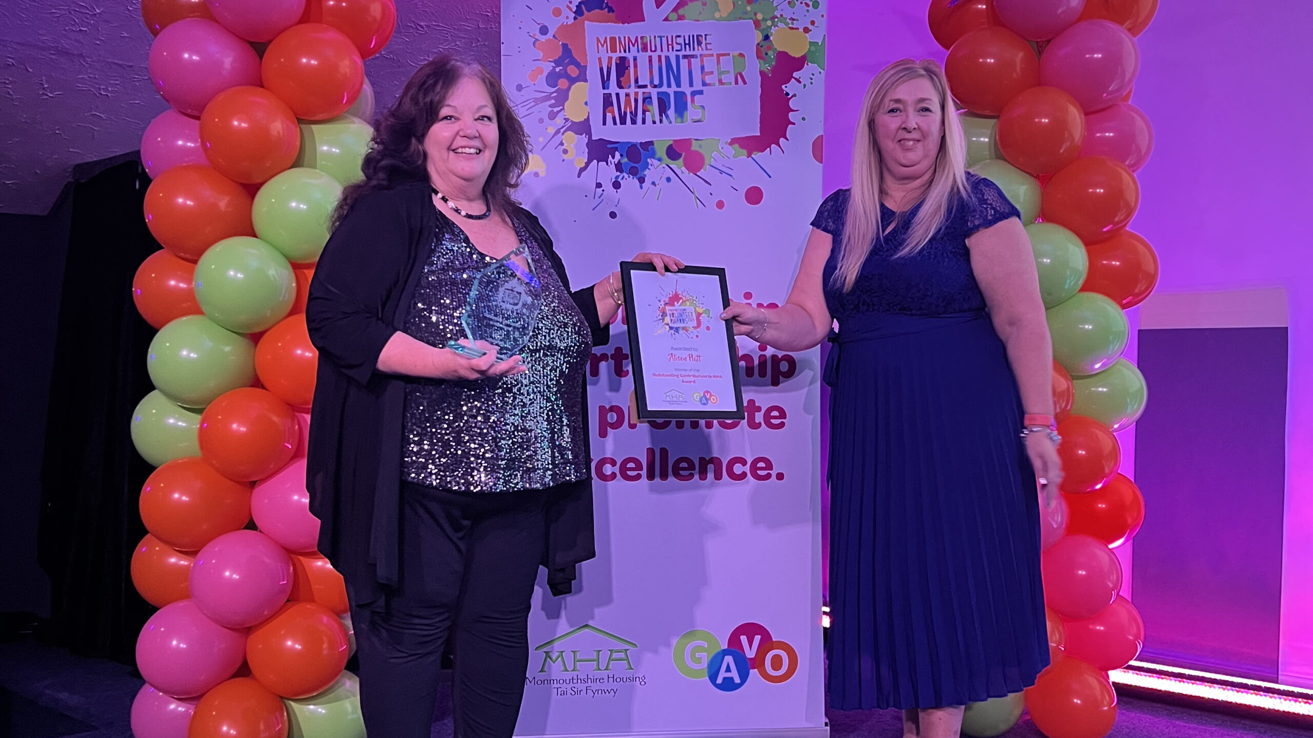 carousel image Outstanding Contribution to Awen Award - Winner
